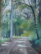 Bruce Malloch - Down_a_Walpole_Track